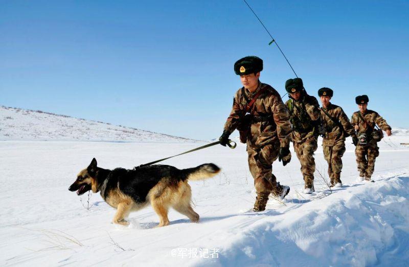 组图:新疆边防阳春三月踏雪巡逻军犬站起卖萌