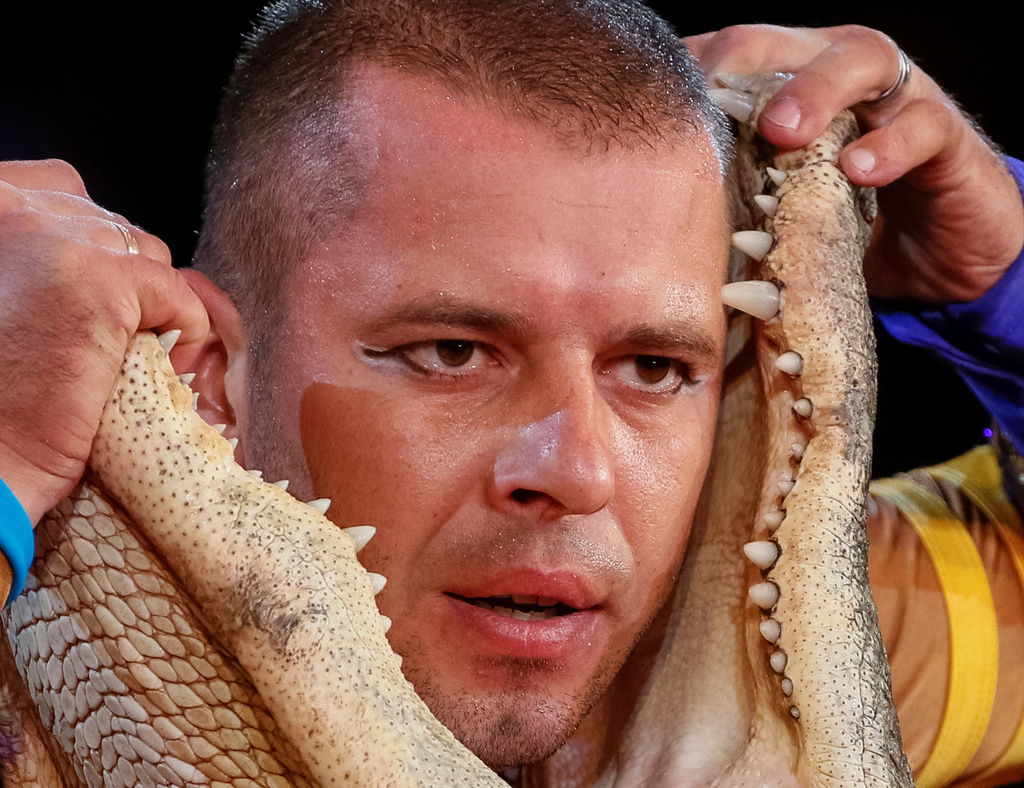 乌克兰国家马戏团举行表演 演员将头放鳄鱼口