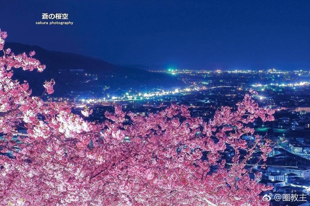 日本摄影师 Sakura Imaoka 与日本神奈川县松