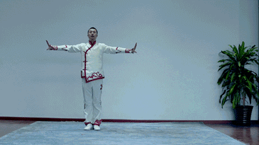 365_205 gif 动态图 动图