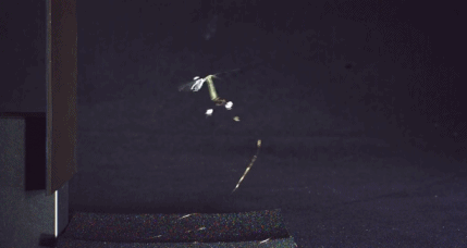 研发出了一种超小型飞行机器人&mdash;&mdash;robobee(请叫人家小蜜蜂