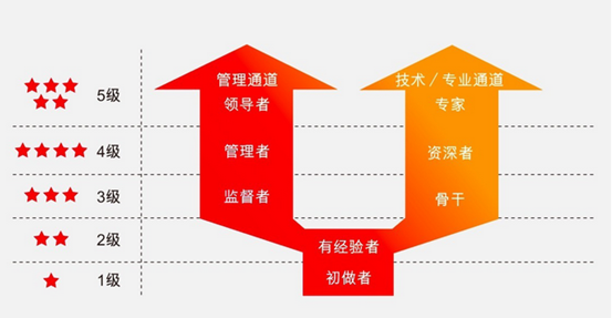 tcl集团五级双通道职业发展通道