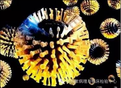 和睦家儿科医生:十二字干妈轻松对付轮状口诀老病毒火锅底料图片
