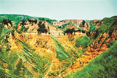 陕西蓝田上陈旧石器遗址黄土-古土壤剖面景观