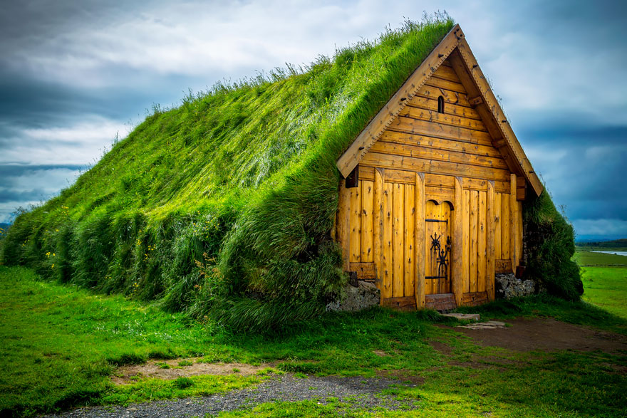 被草包围的北欧小屋