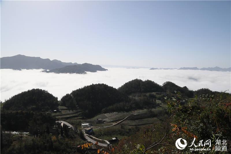高清组图:湖北鹤峰现"云海奇观"