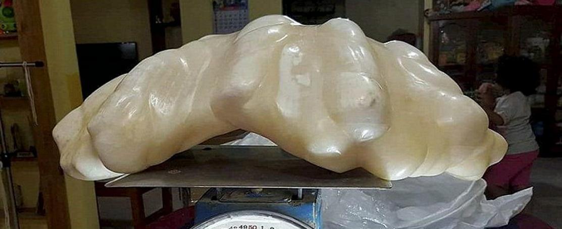 835f07f47a9ffba8cd27e08d65187631.jpg@1l