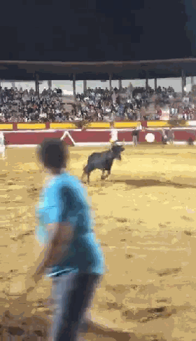 惊险画面 法国斗牛窜上看台横冲直撞多人受伤