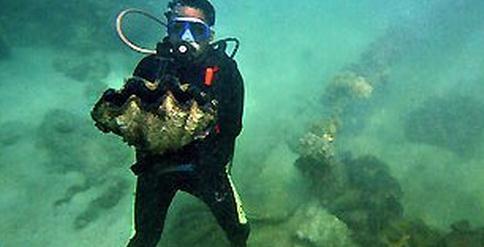 d930bd87ed415c846526bdd35b03c458.jpg@1l