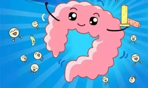 95%的人肠道都是亚健康,情绪,免疫,营养都离不开它!这